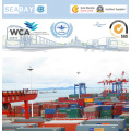 Ningbo Cheap Ocean Forwarder Forwarder a Amberes Bélgica